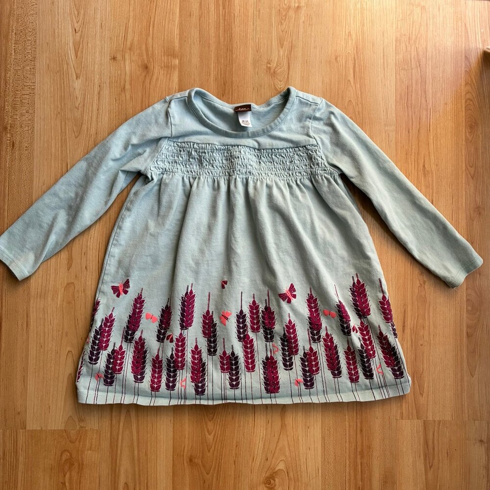 Tea Collection dress 18-24 months